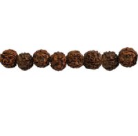 13 inch strand of 9 to 10mm Round Rudraksha Seed Beads