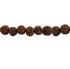 13 inch strand of 9 to 10mm Round Rudraksha Seed Beads