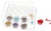 Clear Plastic Storage Box with Lid & 16 Round Boxes