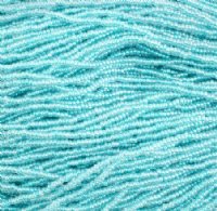 1 Hank of 11/0 Colorlined Turquoise Seed Beads