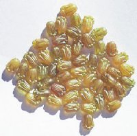 50, 12mm Matte Golden Topaz & Gold Tulip Beads