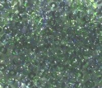 50g 6/0 Transparent Crystal Green Purple