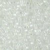 DB-0051 5.2 Grams of 11/0 Transparent Crystal AB Miyuki Delica Beads