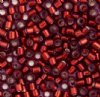 DB-1202 5.2 Grams of 11/0 Dark Cranberry Red Silverlined Delica Beads