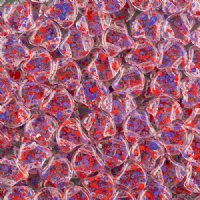 10 Grams 7.5mm Crystal Violet Red Confetti Splash Czech Glass Ginko Leaf Beads
