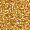 SB6-0002 22g of Silverlined Gold 6/0 Miyuki Seed Beads