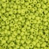 SB6-0416 22g of Opaque Chartreuse 6/0 Miyuki Seed Beads
