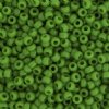 SB6-0411 22g of Opaque Pea Green 6/0 Miyuki Seed Beads