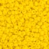 SB6-0404 22g of Opaque Yellow 6/0 Miyuki Seed Beads
