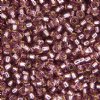 SB6-0012 22g of Silverlined Smoky Amethyst 6/0 Miyuki Seed Beads