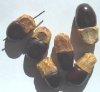 6 30x20mm Natural Brown Peach Nut Beads