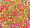 50 Grams of 10/0 Neon Mix Color Lined Crystal Seed Beads
