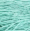 1 Hank of 10/0 Opaque Matte Light Turquoise Seed Beads
