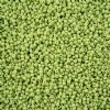 1 Hank of 11/0 Solgel Opaque Dyed Chalk Green Seed Beads