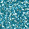 50g 2/0 Silver Lined Aqua Seed Beads