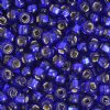 50g 2/0 Silver Lined Royal Blue Seed Beads