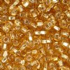 50g 2/0 Silver Lined Gold Seed Beads