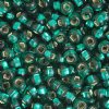 50g 2/0 Silver Lined Teal Green Seed Beads