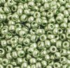 50g 6/0 Metallic Light Olive Seed Beads