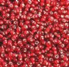 50g 8/0 Silverlined Red Seed Beads