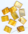 10 20x15mm Flat Rectangle Gold Dyed Shell Beads