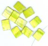 10 20x15mm Flat Rectangle Lime Dyed Shell Beads