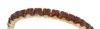 Swarovski Gold Stretch Bracelet with Ruby