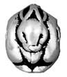 1 8x10mm TierraCast Large Hole Antique Silver Rabbit Bead