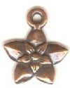 1 12mm TierraCast Antique Copper Jasmine Star Flower Pendant
