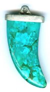 1 30x15x8mm Turquonite Claw Pendant With Silver Cap