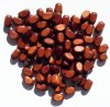 100 6x3mm Dark Brown Rounded Edge Rectangle Wood Beads