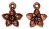 1 12mm TierraCast Antique Copper Jasmine Star Flower Pendant