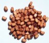 100 6x3mm Light Brown Rounded Edge Rectangle Wood Beads