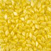 10 Grams of Pearl Shine Amber GemDuo Glass Bead