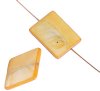 10 20x15mm Flat Rectangle Gold Dyed Shell Beads