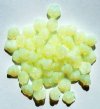 50 7mm Milky Light Yellow Opal Button Flower Beads