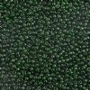 50g 6/0 Transparent Kelly Green