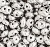 TB-01026 - 10 Grams Crystal Full Coat Labrador Silver 2.5x5mm Preciosa Twin Beads