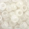 100 6x9mm Glow-in-the-Dark Crow Beads