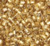 50g of 10/0 Two-Cut Silver Lined Gold Seed Beads