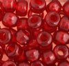 100 6x9mm Transparent Red Acrylic Crow Beads