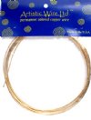 10 Feet of 16 Gauge Non Tarnish Brass Artistic Wire