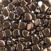 10 Grams 7.5mm Jet Dark Bronze Czech Glass Ginko Leaf Beads