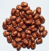 Tulip Flower Beads