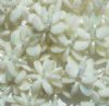 50 7x18mm White AB Acrylic Paddle Wheel Beads 