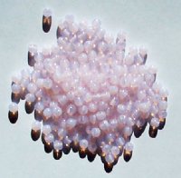200 4mm Milky Light Pink Opal Round Glass Beads