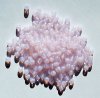 100 4mm Milky Light Pink Opal Round Glass Beads