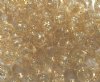 100 6x9mm Golden Topaz Sparkle Crow Beads