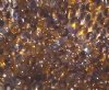 50g 6/0 Transparent Crystal Light Topaz Purple