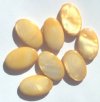8 25x15mm Flat Oval Gold Dyed Shell Beads